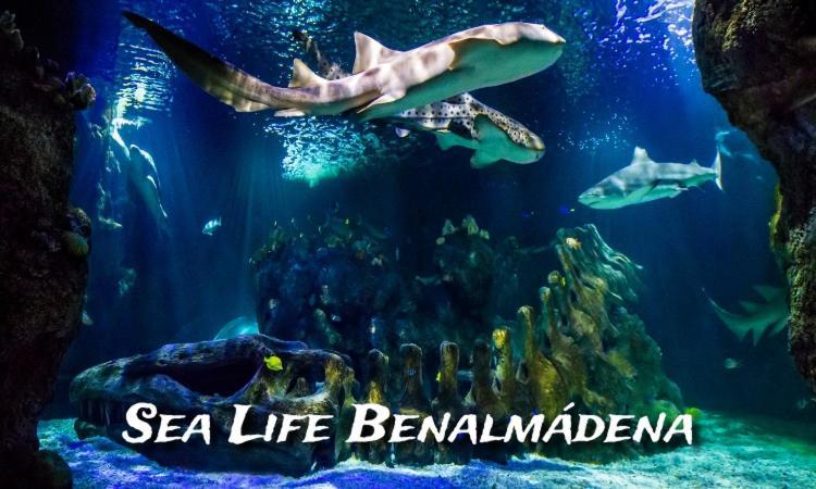 Benalbeach Loft Беналмадена Екстериор снимка